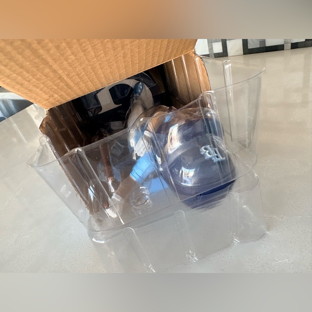 NIB Junior Caminero Tampa Bay Rays SGA Bobblehead 2025 Baseball Collectible - Picture 8 of 16